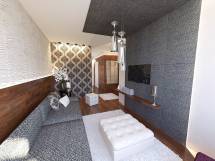 tarsashaz-modern-2014-sas_pict_3